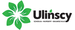 Ulińscy