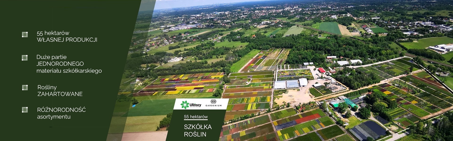 szkółka roślin sprzedaż hurtowa