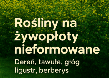 rośliny na naturalne, nieformowane żywopłoty