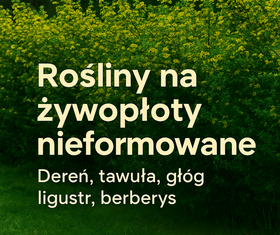 rośliny na naturalne, nieformowane żywopłoty